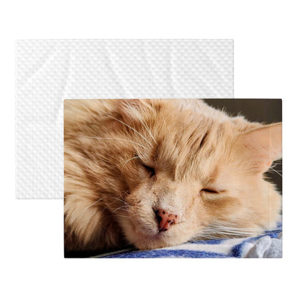 Hawk's Nap Blanket