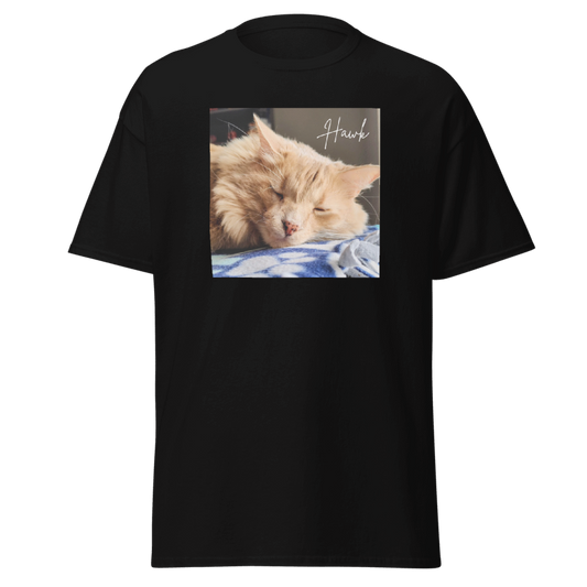 Hawk Album Tee