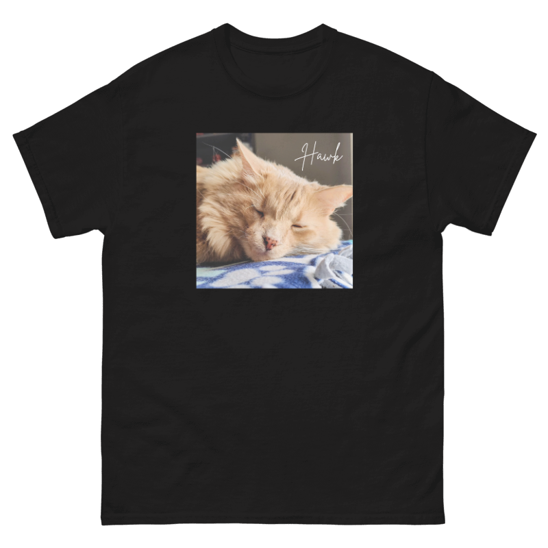 Hawk Album Tee