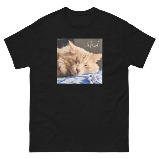 Hawk Album Tee