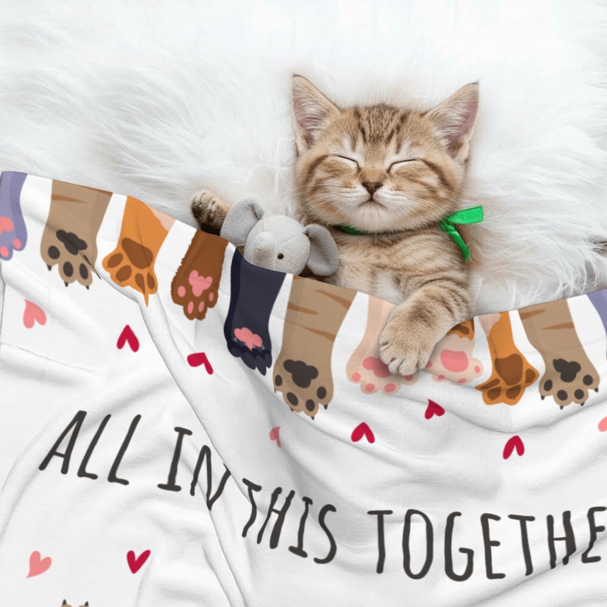 All in This Together Cat Blanket