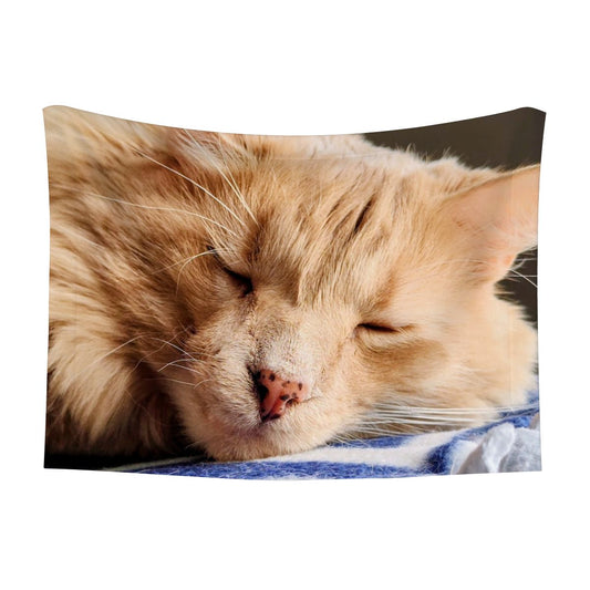 Hawk's Nap Blanket