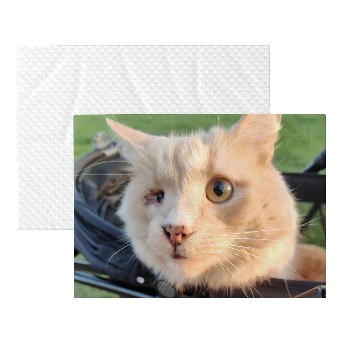 Hawk's Stroller Blanket