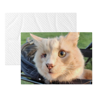 Hawk's Stroller Blanket