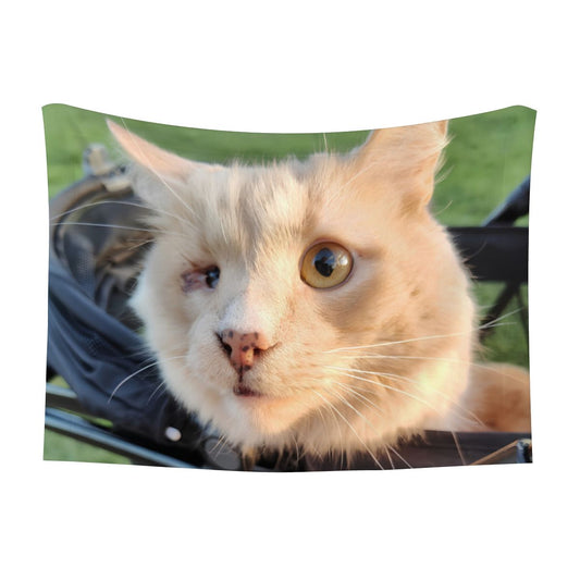 Hawk's Stroller Blanket