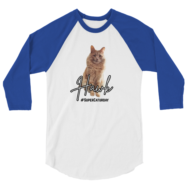 Hawk Baseball Tee